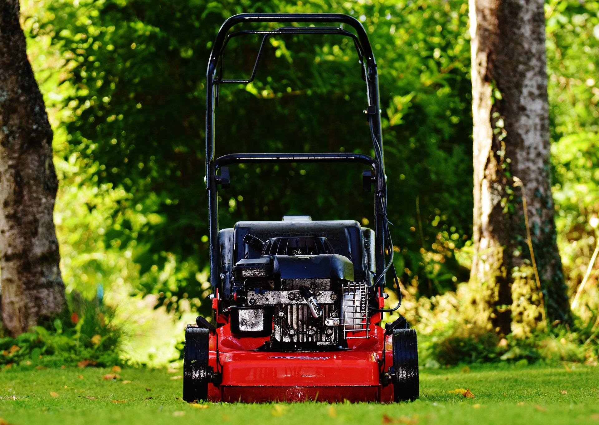A red lawnmower inbetween tall trees on green grass.
